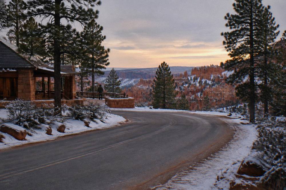 Empty paved scenic road curving through pine forest toward a canyon rim overlook
