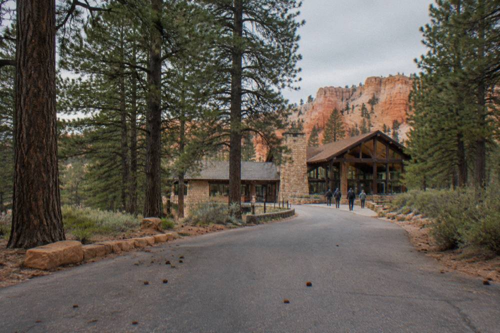 Entrance station roadway lined with pine forest leading toward Bryce Canyon