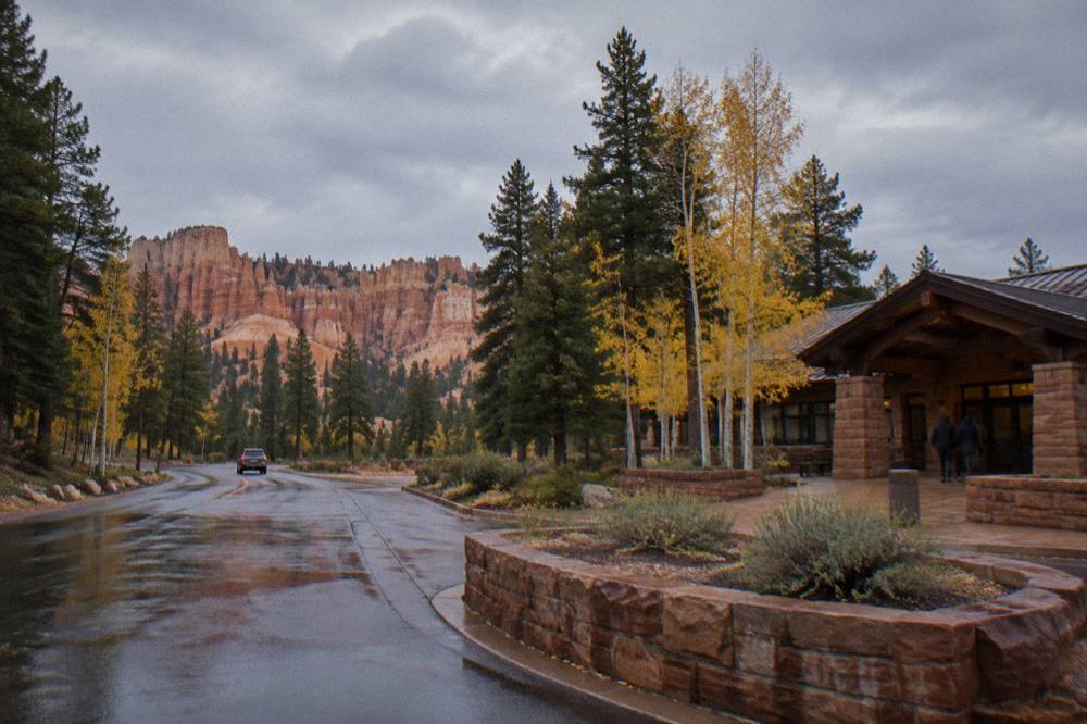Entrance station signage and evergreen trees along the road into Bryce Canyon National Park